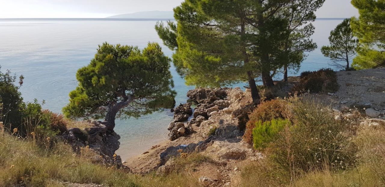 Old Town Studio Apartments Makarska Eksteriør billede
