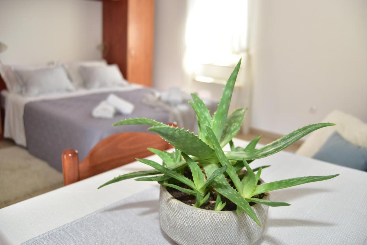 Old Town Studio Apartments Makarska Eksteriør billede
